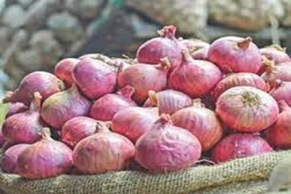 थॉमसन ंइंटरनॅशनल कंपनीमार्फत पुरवठा केल्या जाणारा कांदा खाऊ नये, अशा सूचना सीडीसीने दिल्या आहेत. शिवाय या कांद्यापासून तयार करण्यात आलेले पदार्थदेखील फेकून देण्यास सांगण्यात आलं आहे. थॉमसन ंइंटरनॅशनल कंपनीमार्फत पुरवठा केल्या जाणारा कांदा खाऊ नये, अशा सूचना सीडीसीने दिल्या आहेत. शिवाय या कांद्यापासून तयार करण्यात आलेले पदार्थदेखील फेकून देण्यास सांगण्यात आलं आहे.