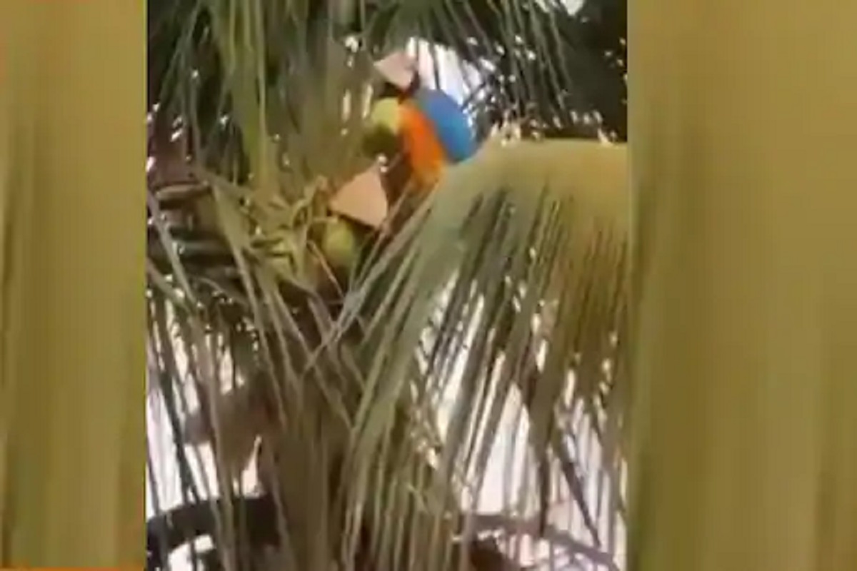 हुशार पोपट! तहान भागवण्यासाठी अशी लढवली शक्कल; सोशल मीडियावर VIDEO VIRAL