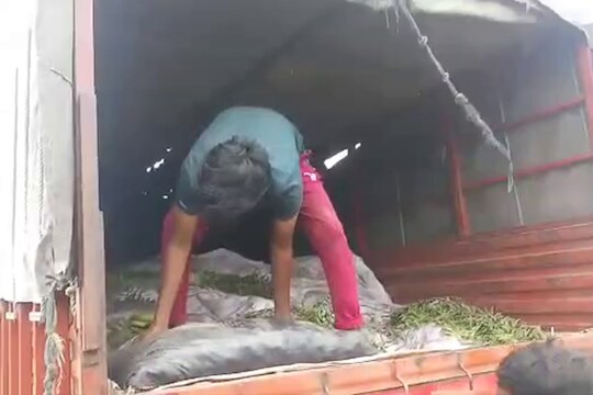 मुंबई-पुणे एक्सप्रेस वेवर अडवले 3 टेम्पो, पाहणी केल्यावर पोलीसही झाले हैराण, पाहा हा VIDEO