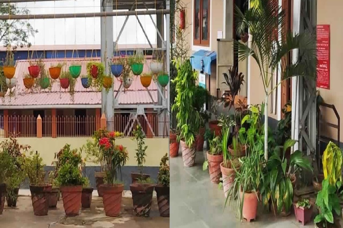 रोपं असलेल्या कुंड्यांचा हा फोटो पाहिल्यानंतर सर्वात आधी आपल्यासमोर एखादी रोपवाटिका येईल किंवा एखाद्या बागेतील ही झाडं असावीत असंच वाटेल. रोपं असलेल्या कुंड्यांचा हा फोटो पाहिल्यानंतर सर्वात आधी आपल्यासमोर एखादी रोपवाटिका येईल किंवा एखाद्या बागेतील ही झाडं असावीत असंच वाटेल.