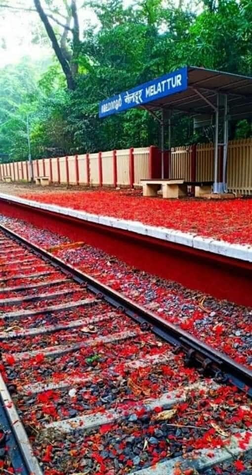 मात्र हे कोणत्या फिल्ममधील किंवा परदेशातील नव्हे तर भारतातील रेल्वे स्टेशन आहे. हे रेल्वे स्टेशनदेखील केरळमधीलच आहे. मलप्पुरम जिल्ह्यातील मेलाट्टूर रेल्वे स्टेशन. वेल्लियार नदीच्या जवळच हे रेल्वे स्टेशन आहे. मान्सूनमध्ये या रेल्वे स्टेशनचं सौंदर्य अधिकच वाढतं आणि ते डोळ्यात साठवून ठेवण्यासारखंच असतं. मात्र हे कोणत्या फिल्ममधील किंवा परदेशातील नव्हे तर भारतातील रेल्वे स्टेशन आहे. हे रेल्वे स्टेशनदेखील केरळमधीलच आहे. मलप्पुरम जिल्ह्यातील मेलाट्टूर रेल्वे स्टेशन. वेल्लियार नदीच्या जवळच हे रेल्वे स्टेशन आहे. मान्सूनमध्ये या रेल्वे स्टेशनचं सौंदर्य अधिकच वाढतं आणि ते डोळ्यात साठवून ठेवण्यासारखंच असतं.