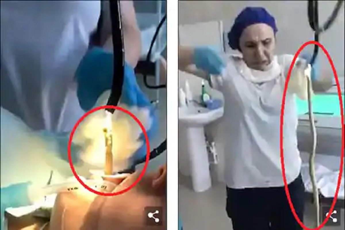 ...आणि अचानक महिलेच्या शरीरात शिरला 4 फूट लांब साप, विश्वास बसत नसेल तर पाहा VIDEO