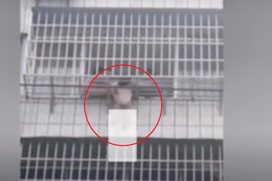 धक्कादायक VIDEO! खेळता खेळता पाचव्या मजल्यावरून घसरली 5 वर्षांची चिमुरडी, खाली पडणार तेवढ्यात...