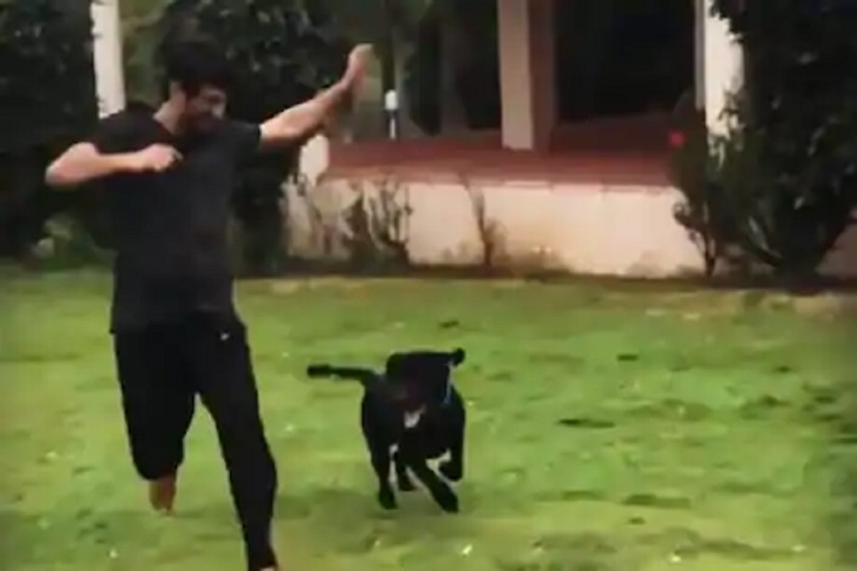 2 महिने सुशांत न दिसल्याने कशी झालीये त्याच्या डॉगीची अवस्था; VIDEO VIRAL