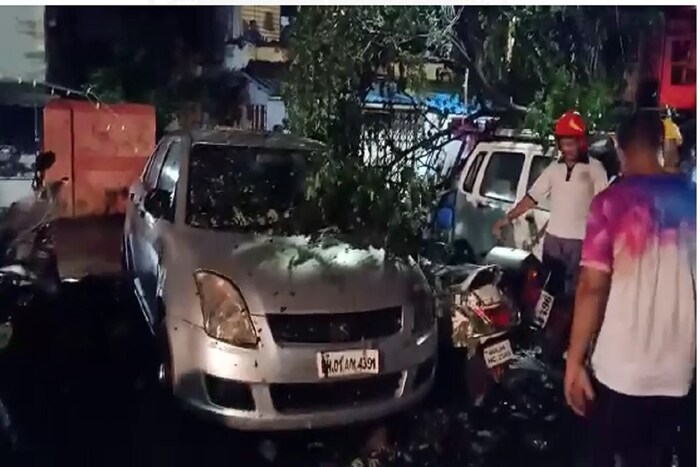 ठाण्यात भलं मोठं झाड पडल्याने एकच खळबळ उडाली आहे, सुदैवाने रात्रीच्या सुमारास झाड पडल्याने मोठी जीवितहानी टळली आहे.