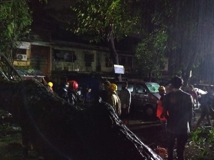 ठाण्यात सिमेंटचे जंगल वाढल्याने जुन्या वर्षानुवर्षे तग धरुन उभी असलेली मोठी वृक्ष पडण्याची संख्या ठाण्यात वाढू लागली आहे. 