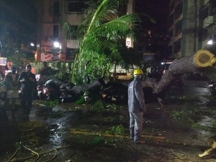 झाडं इतकं मोठं होतं की ते पडल्याने दोन रस्ते काही काळा करता बंद झाले होते. पण मध्यरात्री झाड पडल्याने वाहतूक कोंडी झाली नाही.