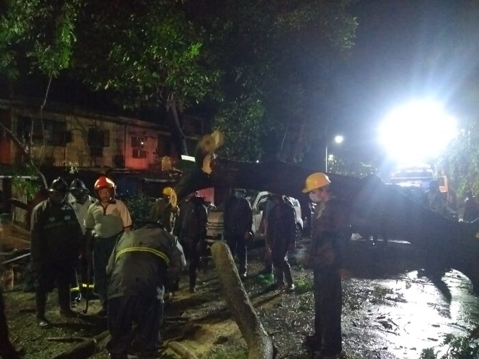 ठाण्यातील वागळे इस्टेट भागातील विश्राम घर सोसायटी, श्री अयप्पा मंदीर श्रीनगर इथं एक मोठं झाडं उन्मळून पडल्याने मोठं नुकसान झालं आहे.