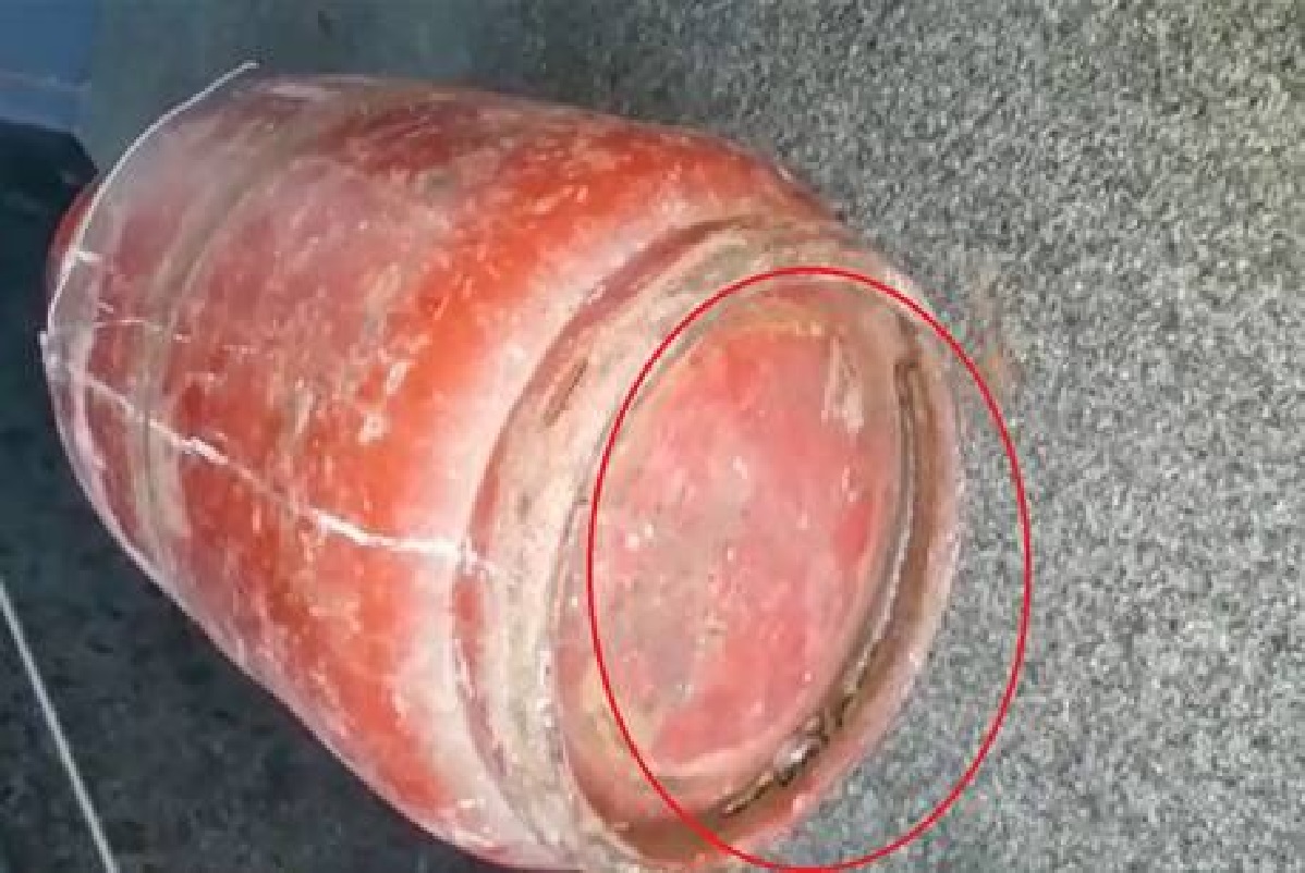 सिलिंडरसोबत सापाचीही होम डिलिव्हरी, VIDEO पाहून व्हाल हैराण