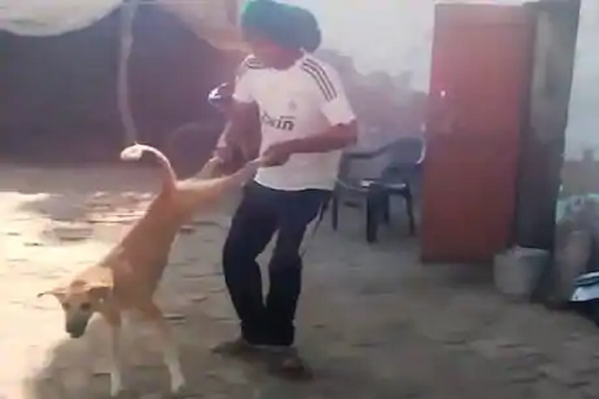 VIDEO: आता तर हद्दच झाली! एका VIDEO साठी कुत्र्याला गरगर फिरवून दिलं फेकून