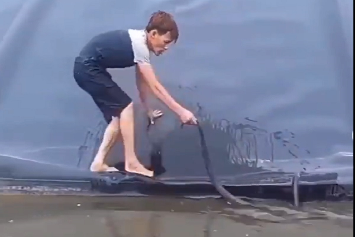 पाण्यात सापाची शेपटी खेचायला गेला तरुण, मागून आला अजगर आणि...