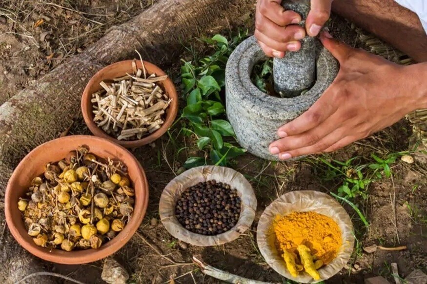 कोरोना संक्रमण रोखण्यासाठी, कोरोनापासून बचावासाठी आणि रोगप्रतिकारक शक्ती वाढवण्यासाठी केंद्रीय आयुष मंत्रालयाने नव्या गाइडलाइन्स जारी केल्या आहेत. कोरोना संक्रमण रोखण्यासाठी, कोरोनापासून बचावासाठी आणि रोगप्रतिकारक शक्ती वाढवण्यासाठी केंद्रीय आयुष मंत्रालयाने नव्या गाइडलाइन्स जारी केल्या आहेत.