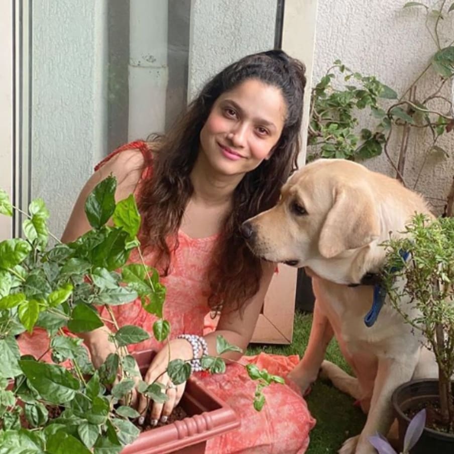 अंकिता लोखंडे (Ankita Lokhande) सोशल मीडिया सक्रिया असते. यापूर्वी अंकिताने इंस्टाग्राम अकाउंटवर गार्डनिंग करीत असतानाचे फोटो शेअर केले होते. ज्यामध्ये ती आपल्या डॉगीसोबत झाडं लावताना दिसत आहे. (photo credit: instagram/@lokhandeankita)
