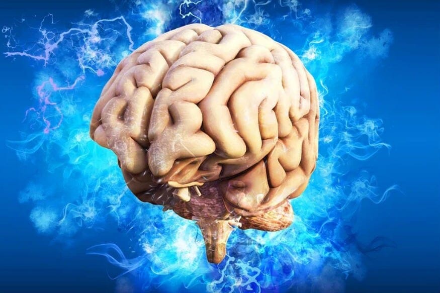 याआधी देखील अशा प्रकारचे अनेक प्रयोग करण्यात आले होते. मेंदूचा अभ्यास फार पूर्वीपासून सुरू असून 1950 मध्ये देखील हेन्री मोलेसन याच्या मेंदूचा अभ्यास करण्यात आला. त्यांच्या मेंदूचा अभ्यास करताना एक विशिष्ट हिस्सा काढून घेण्यात आला होता. त्यामुळे त्यांच्या लक्षात ठेवण्याच्या क्षमतेवर परिणाम झाला होता. (Photo-pixabay) याआधी देखील अशा प्रकारचे अनेक प्रयोग करण्यात आले होते. मेंदूचा अभ्यास फार पूर्वीपासून सुरू असून 1950 मध्ये देखील हेन्री मोलेसन याच्या मेंदूचा अभ्यास करण्यात आला. त्यांच्या मेंदूचा अभ्यास करताना एक विशिष्ट हिस्सा काढून घेण्यात आला होता. त्यामुळे त्यांच्या लक्षात ठेवण्याच्या क्षमतेवर परिणाम झाला होता. (Photo-pixabay)