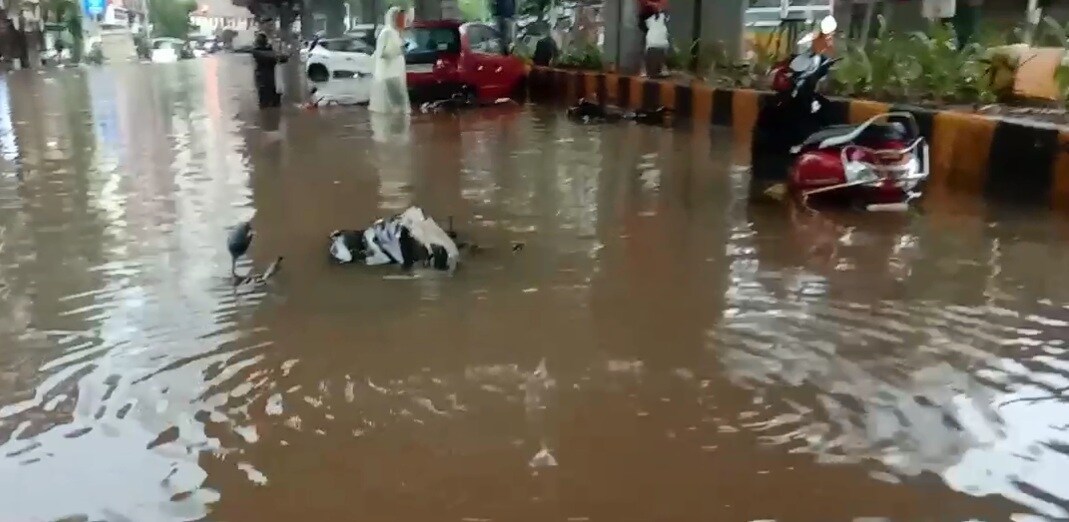 हे नाट्यगृह असलेल्या सर्वच भागात प्रचंड पाणी साचलं आहे. त्यामुळे सगळीच ड्रेनेज व्यवस्था कोलमडून पडली आहे. हे नाट्यगृह असलेल्या सर्वच भागात प्रचंड पाणी साचलं आहे. त्यामुळे सगळीच ड्रेनेज व्यवस्था कोलमडून पडली आहे.