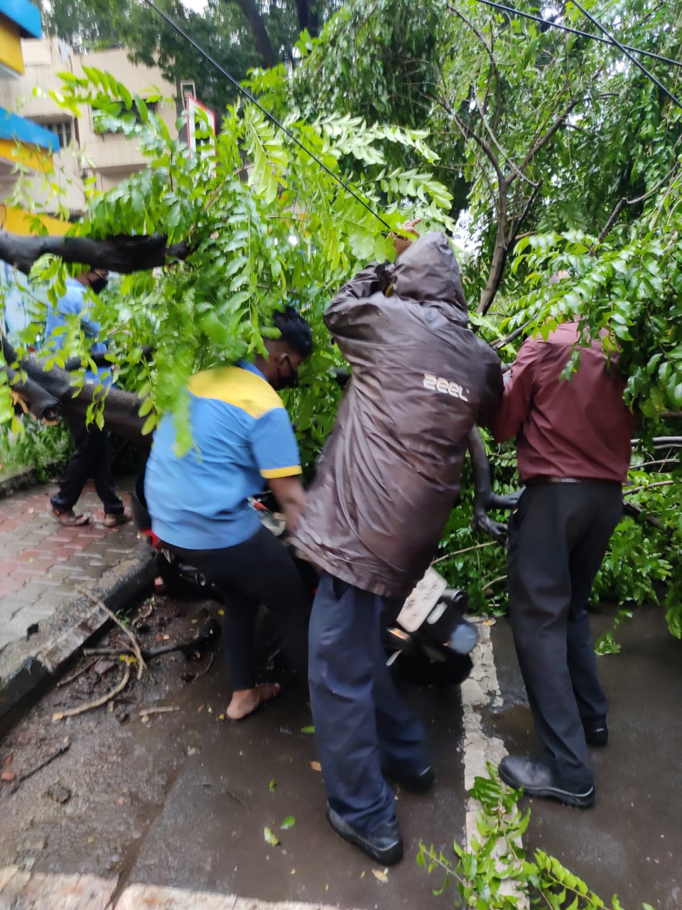 सुदैवाने झाडा खाली पार्क केलेल्या गाड्यांवर कोणी बसलेलं नव्हतं. त्यामुळे जीवित हानी टाळली गेली. सुदैवाने झाडा खाली पार्क केलेल्या गाड्यांवर कोणी बसलेलं नव्हतं. त्यामुळे जीवित हानी टाळली गेली.