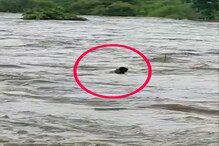 पाणी पाहण्यासाठी थांबले होते पुलावर अन् बापलेकाचा गेला तोल, थरारक VIDEO पाणी पाहण्यासाठी थांबले होते पुलावर अन् बापलेकाचा गेला तोल, थरारक VIDEO
