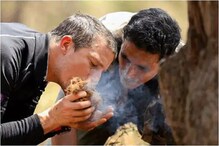 Man Vs Wild मध्ये अक्षय कुमार गोमूत्र नव्हे प्यायला हत्तीचं शेणाचा चहा Man Vs Wild मध्ये अक्षय कुमार गोमूत्र नव्हे प्यायला हत्तीचं शेणाचा चहा