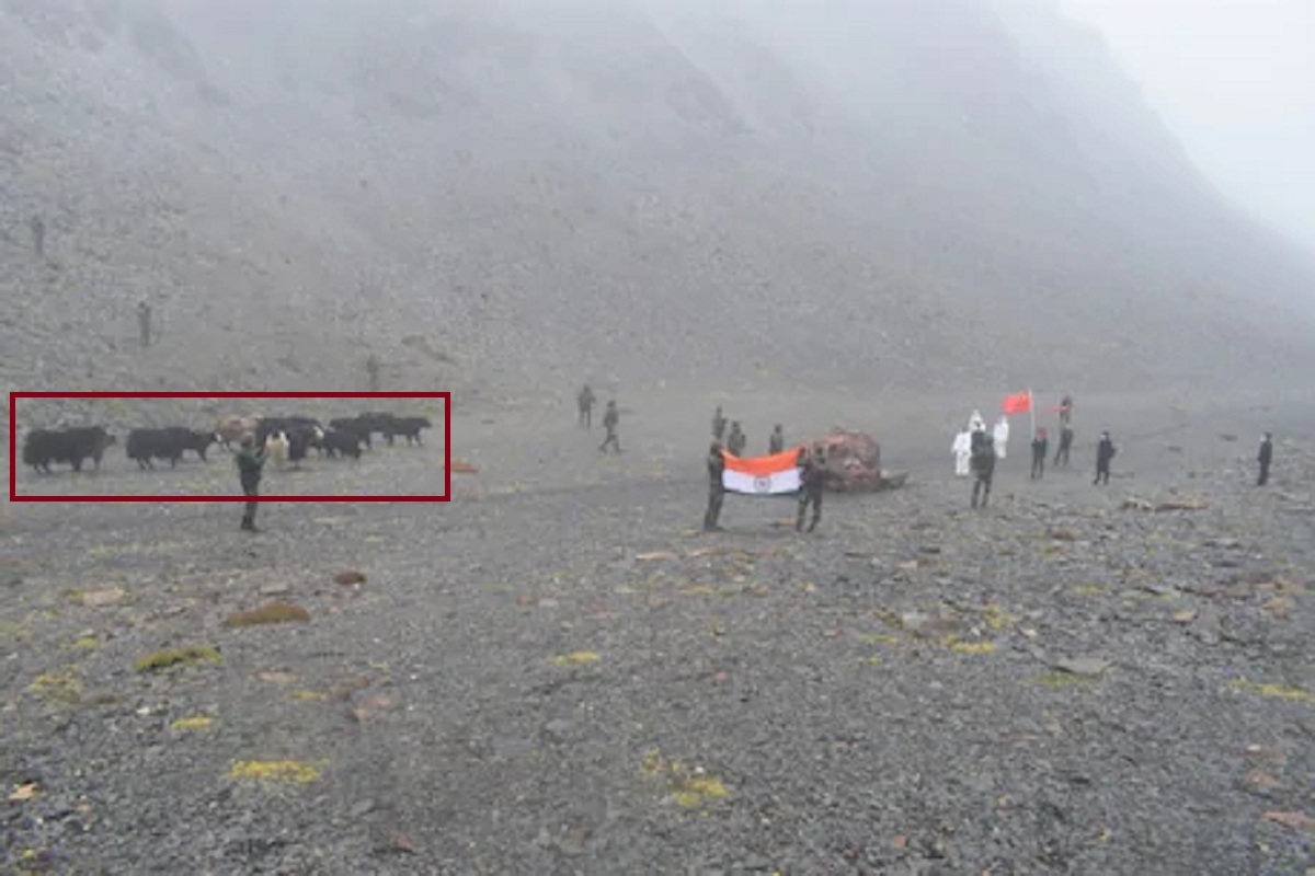 हेरगिरीसाठी चीनने भारतात पाठवले याक? Indian Armyचं खास ऑपरेशन!