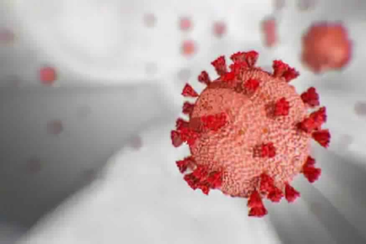 कोरोना हा आजार खोटा असल्याचे सांगणारा तरुण फिटनेस इफ्लूएसर रुपात चर्चित होता आणि फिटनेससे संबंधित व्हिडीओ शेअर करत होता. नुकताच तो तुर्कस्तानच्या ट्रिपला गेला होता.