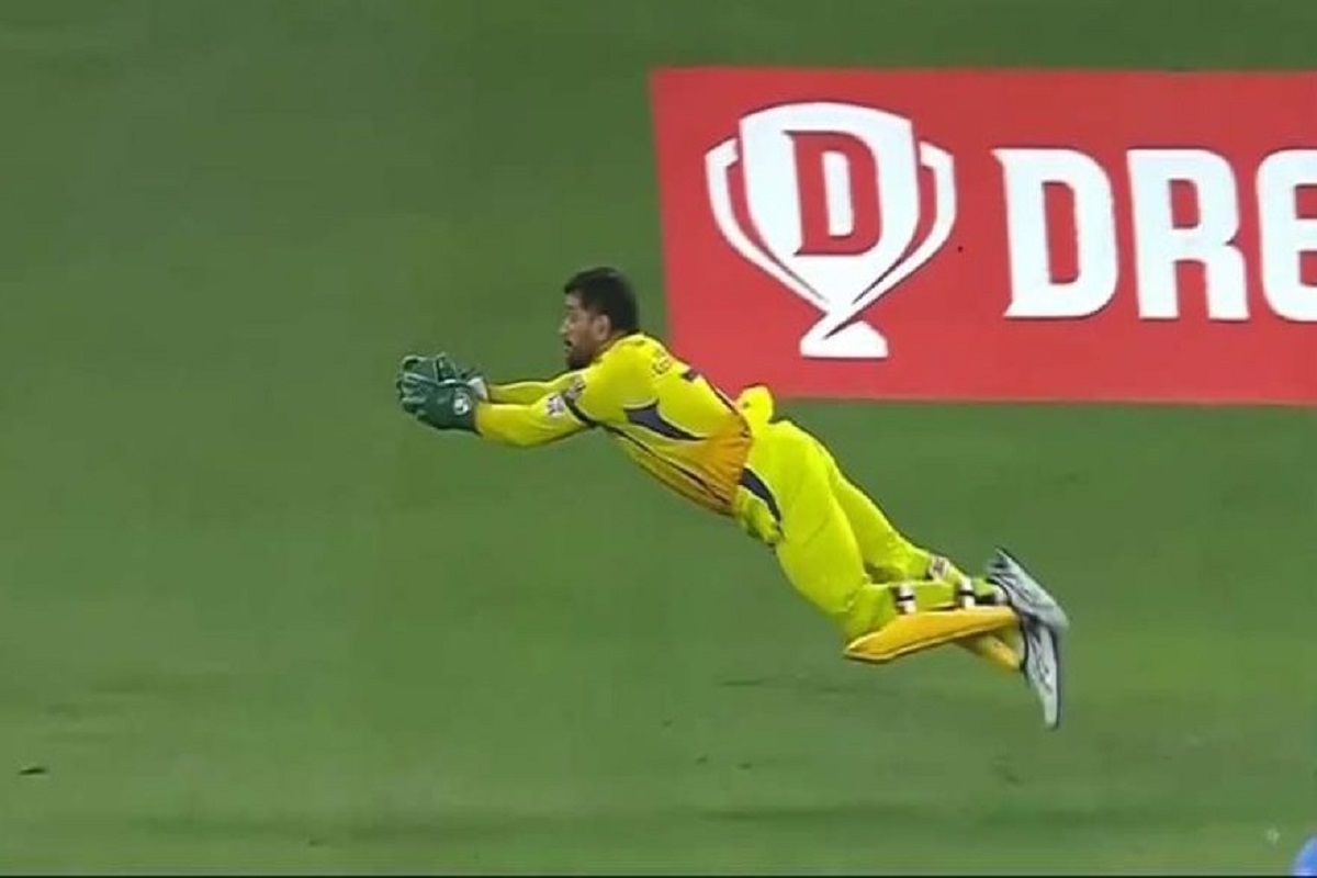 सुपरमॅन नाही हा तर आपला धोनी! डोळ्यांच्या पापण्या मिटण्याआधी घेतला जबरदस्त कॅच, पाहा VIDEO