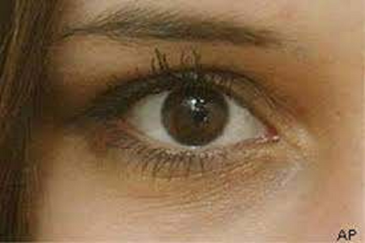 WORK FROM HOME करताना डोळ्यांच्या समस्या; औषधी वनस्पतीने मिळवा आराम