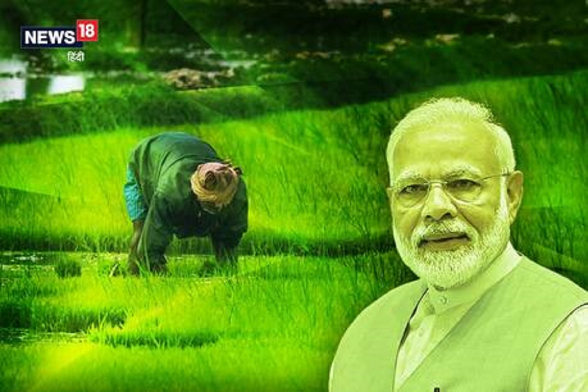 PM शेतकरी सन्मान निधी: 5% शेतकऱ्यांचे फिजिकल व्हेरिफिकेशन आवश्यक असूनही का होतोय या योजनेत घोटाळा?