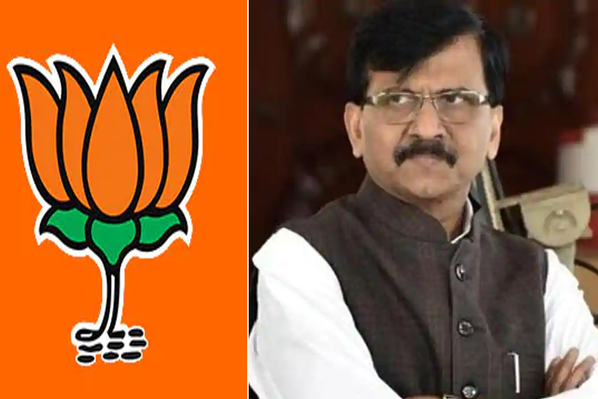 संजय राऊत हे त्यांच्या आक्रमक शैलीतून तर कुणाल कामरा हा त्याच्या उपरोधिक कॉमेडीच्या माध्यमातून कायमच पंतप्रधान नरेंद्र मोदी आणि भाजपवर निशाणा साधत असल्यामुळे कायम चर्चेत असतात.