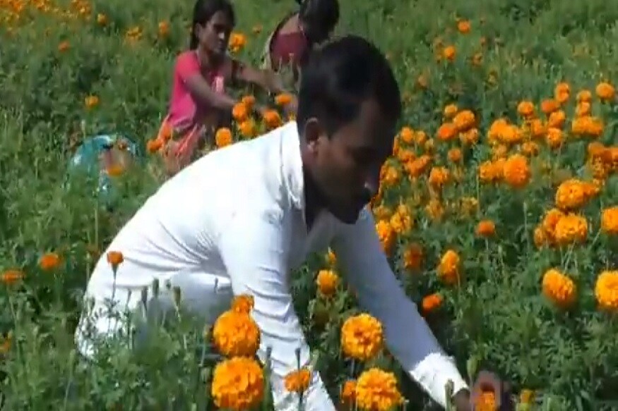 Coronavirus ची साथ सुरू झाली आणि पाठोपाठ Lockdown. क्लास, अभ्यासिका बंद करून विजय गावाकडे परतला आणि शेतीत लक्ष घातलं. Coronavirus ची साथ सुरू झाली आणि पाठोपाठ Lockdown. क्लास, अभ्यासिका बंद करून विजय गावाकडे परतला आणि शेतीत लक्ष घातलं.
