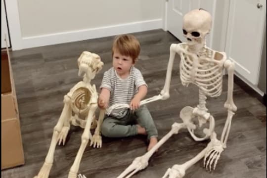 Teddy bear नाही तर आवडतो हाडांचा सापळा; 2 वर्षांच्या चिमुरड्याच्या विचित्र मित्राचा VIDEO पाहा