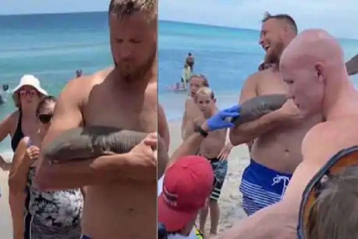 स्विमिंग करणाऱ्या तरुणाचा शार्कने पकडला हात, पुढे काय झालं पाहा VIDEO