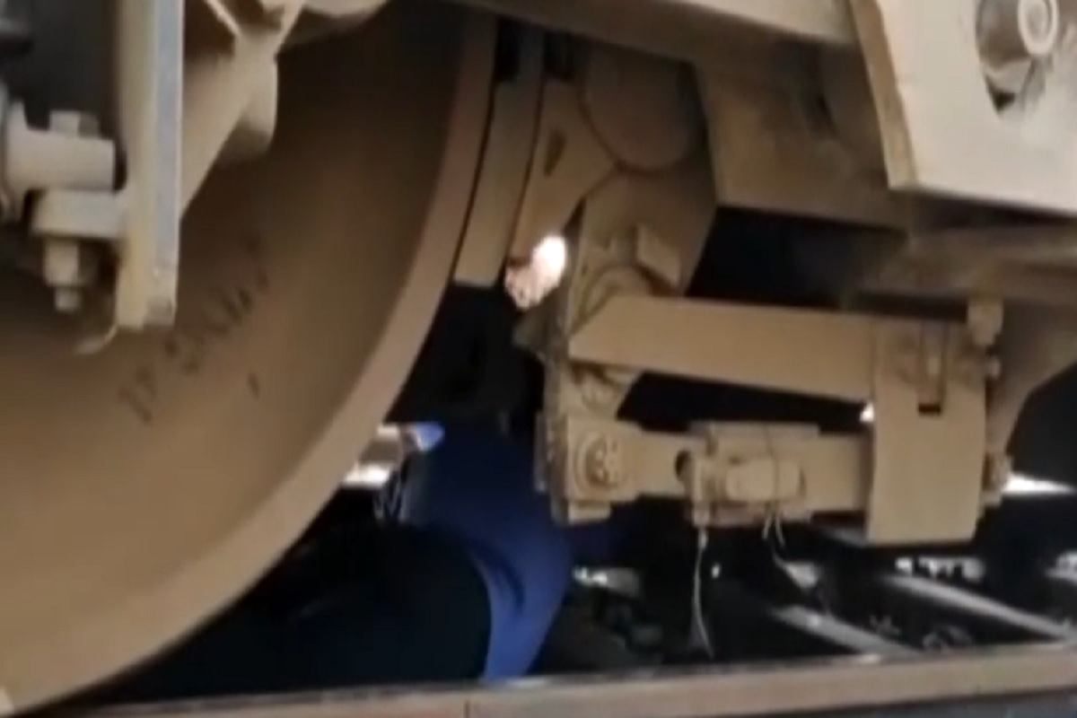 काळ आला होता पण...ट्रेननं सायकलस्वाराला दिली धडक पण थोडक्यात बचावला जीव, पाहा अंगावर शहारे आणणारा VIDEO