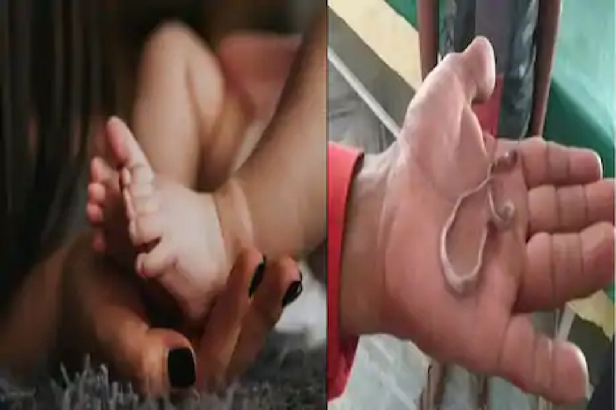 धक्कादायक! चिमुकल्यानं चावलं सापाला, खेळता-खेळता घेतला पंगा