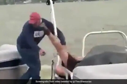 बोटीवर उभं राहून करायला गेला रोमँटिक प्रपोज; अचानक तोंडावर पडली लाथ, पाहा VIDEO