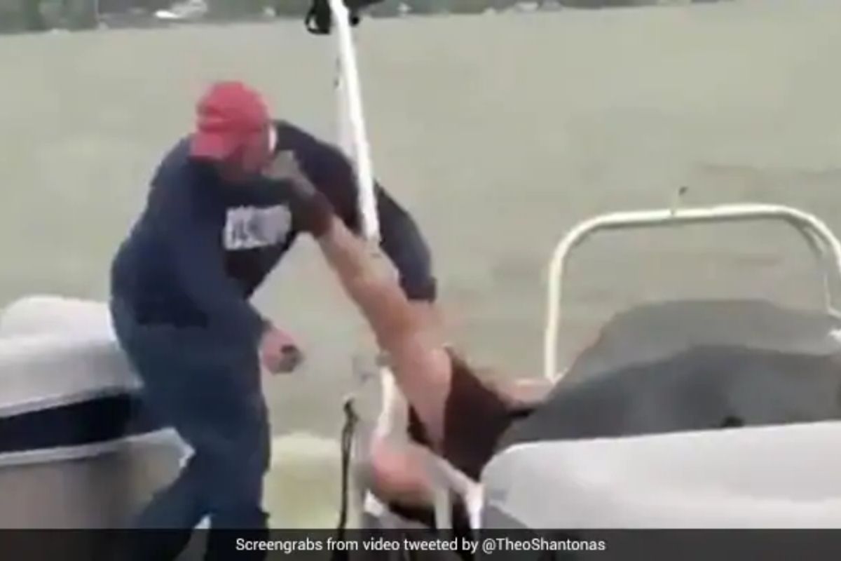 बोटीवर उभं राहून करायला गेला रोमँटिक प्रपोज; अचानक तोंडावर पडली लाथ, पाहा VIDEO