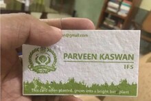 बियांची नाही गरज फक्त हे VISITING CARD मातीत लावल्यावर उगवणार तुळस