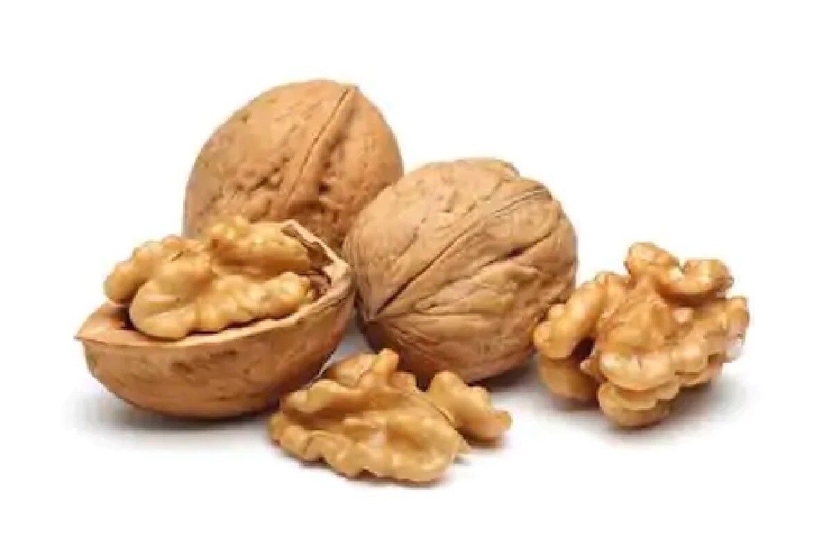 अक्रोडचे फायदे ऐकल्यावर तुम्हाला आश्चर्यच वाटेल. अक्रोड खाल्लाने प्रोटिन, फॉस्फरस, झिंक असे अनेक पौष्टिक घटक मिळतात आणि त्यामुळे शरीरातील कमतरता भरून काढली जाते अक्रोडचे फायदे ऐकल्यावर तुम्हाला आश्चर्यच वाटेल. अक्रोड खाल्लाने प्रोटिन, फॉस्फरस, झिंक असे अनेक पौष्टिक घटक मिळतात आणि त्यामुळे शरीरातील कमतरता भरून काढली जाते