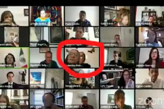 ऑनलाइन बैठक टाळण्यासाठी महिला नेत्यानं लढवली शक्कल पण...नेमकं काय घडलं पाहा VIDEO