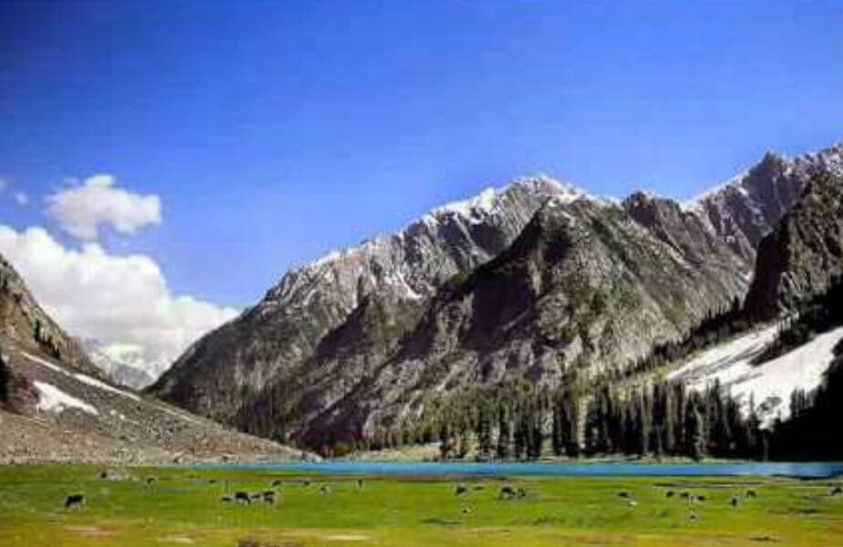 काळानुसार पाकिस्तान आणि अफगाणी सीमेवर वाढत्या ताणामुळे कलाशा जमातीवर याचा मोठा परिणाम झाला आहे. पूर्वी ते लोक हस्तकलेच्या कामातून पैसे कमवत असत पण आता पर्यटक कमी येतात त्यामुळे कमाई होतच नाही अशा परिस्थितीत ते खूपच हालाखीचं जीवन जगत आहे. म्हणूनच त्यांची नवीन पिढी इतर देशांमध्ये जाण्यासाठी तयार झाली आहे. काळानुसार पाकिस्तान आणि अफगाणी सीमेवर वाढत्या ताणामुळे कलाशा जमातीवर याचा मोठा परिणाम झाला आहे. पूर्वी ते लोक हस्तकलेच्या कामातून पैसे कमवत असत पण आता पर्यटक कमी येतात त्यामुळे कमाई होतच नाही अशा परिस्थितीत ते खूपच हालाखीचं जीवन जगत आहे. म्हणूनच त्यांची नवीन पिढी इतर देशांमध्ये जाण्यासाठी तयार झाली आहे.