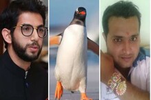 आदित्य ठाकरेंना 'बेबी पेन्ग्विन' म्हणणाऱ्याला अटक, अमृता फडणवीसांनी केली पाठराखण आदित्य ठाकरेंना 'बेबी पेन्ग्विन' म्हणणाऱ्याला अटक, अमृता फडणवीसांनी केली पाठराखण