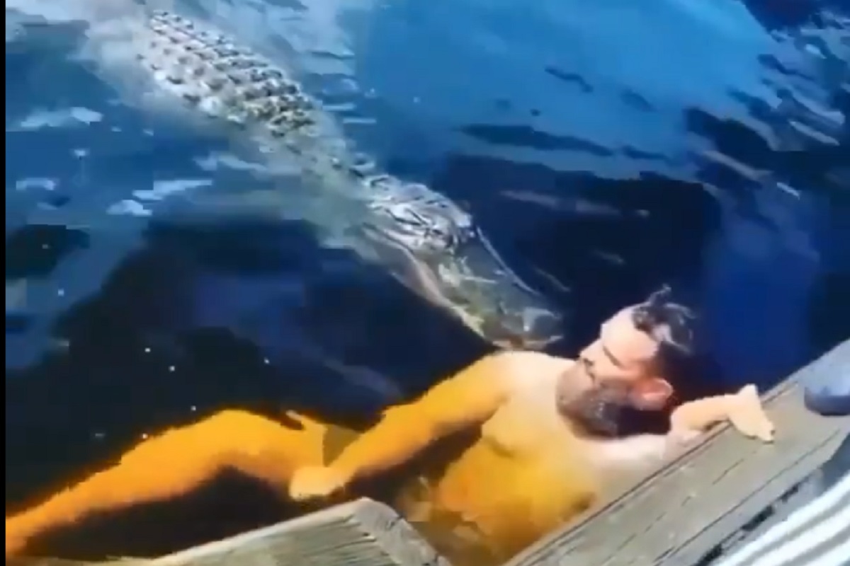 ना कुत्रा, ना मांजर थेट मगरींसहच अंघोळ करण्याची डेअरिंग; VIDEO पाहा मग समजेल पुढे काय झालं