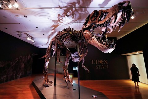 ज्युरासिक वर्ल्डमधील डायनासॉरच्या T-Rex Fossil विक्रमी किमतीत विकण्यात आले आहे. न्यूयॉर्कमध्ये झालेल्या लिलावात या T-Rex Fossil ला विक्रमी किंमत मिळाली आहे.