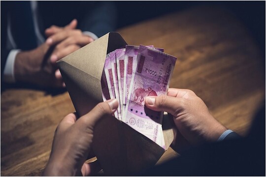घराच्या छतावरील मोकळ्या जागेतून कमाईची संधी, काही महिन्यातच मिळतील लाखो; वाचा काय आहे आयडिया