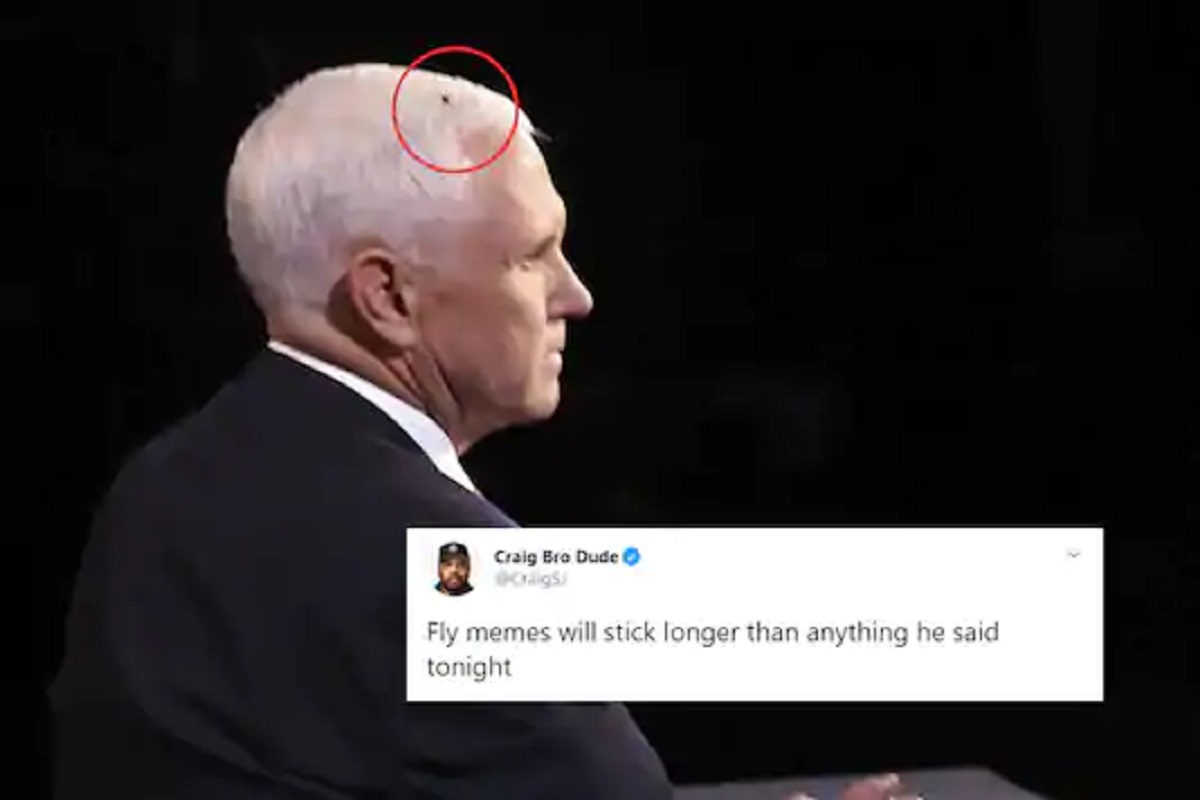 VIDEO - ना माइक पेन्स, ना कमला हॅरीस; जाहीर वादविवाद सभेत माशीनेच मारली बाजी