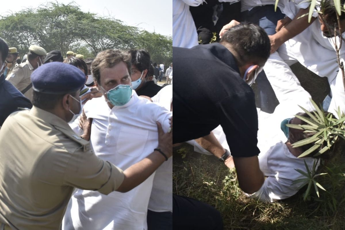 Hathras Rape case : 'ये देखो आज का हिंदुस्तान' धक्काबुक्कीदरम्यान राहुल गांधींची उद्विग्न प्रतिक्रिया