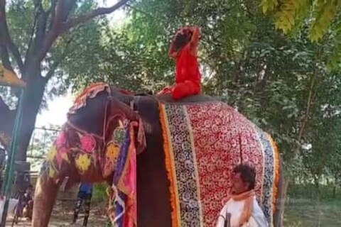 रामदेव बाबा हत्तीवर बसून योग शिकवित होते आणि अचानक...
