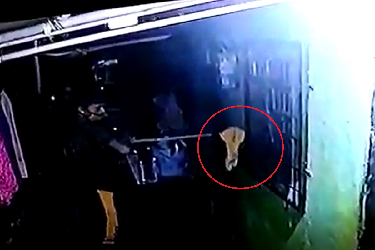 बापरे! आंबे काढण्याच्या घळानं लंपास केले मोबाईल, पाहा मुंबई उपनगरातील चोरीचा LIVE VIDEO