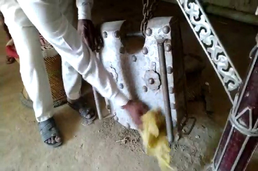 मोहम्मद हनीफला दोन मुले आणि दोन मुली आहेत. मोहम्मद हनीफ यांनी आपल्या मुलाला हे कुलूप न विकाण्याची अट घातली आहे. कितीही कठीण परिस्थिती आणि काळ आला तरीही हे कुलूप विकायचं नाही असं त्यांच्याकडून वचन घेतलं आहे. येणाऱ्या पिढ्या या कुलपाची साक्ष देतील असंही ते म्हणाले आहेत. मोहम्मद हनीफला दोन मुले आणि दोन मुली आहेत. मोहम्मद हनीफ यांनी आपल्या मुलाला हे कुलूप न विकाण्याची अट घातली आहे. कितीही कठीण परिस्थिती आणि काळ आला तरीही हे कुलूप विकायचं नाही असं त्यांच्याकडून वचन घेतलं आहे. येणाऱ्या पिढ्या या कुलपाची साक्ष देतील असंही ते म्हणाले आहेत.