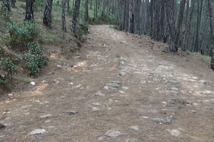 PMGSY अल्मोडाचे कार्यकारी अभियंता किशन आर्य यांनी सांगितलं की, अनेकदा हा पूल बनवण्याची योजना आखण्यात आली, परंतु कंत्राटदार न मिळणं, बजेटमध्ये समस्या, यांसारखे अनेक प्रश्न उभे राहिले. मात्र आता लवकरच प्रधानमंत्री ग्राम सडक योजनेंतर्गत या पूलाचं बांधकाम सुरू करणार असल्याचं त्यांनी म्हटलं आहे. (फोटोः न्यूज 18)