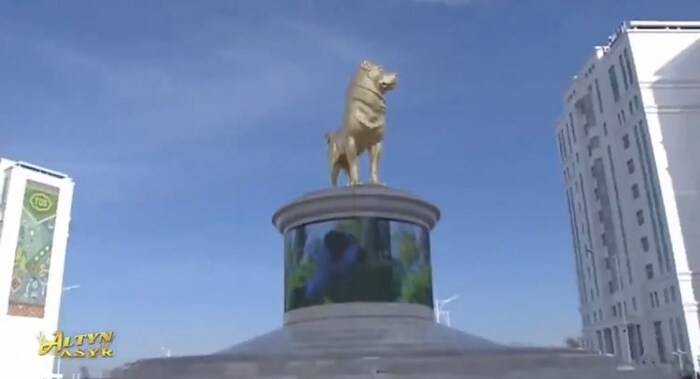 तुर्कमेनिस्तानमध्ये 2007 पासून सत्तेत असलेल्या गुरबंगुली बेर्दमुखमेडोव्ह यांनी बुधवारी या अल्बी प्रजातीच्या श्वानाच्या पुतळ्याचे अनावरण केले. ही मूर्ती खास पितळेने बनविली होती, जेणेकरून ती खराब होणार नाही. फोटो सौजन्य: @b_nishanov